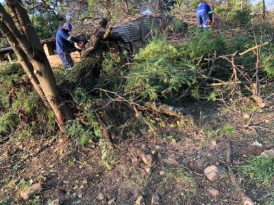 79967AEA-1D23-4EC5-A489-0CE91BD38950