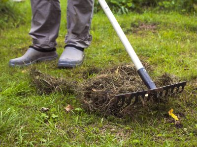 shutterstock_469643921